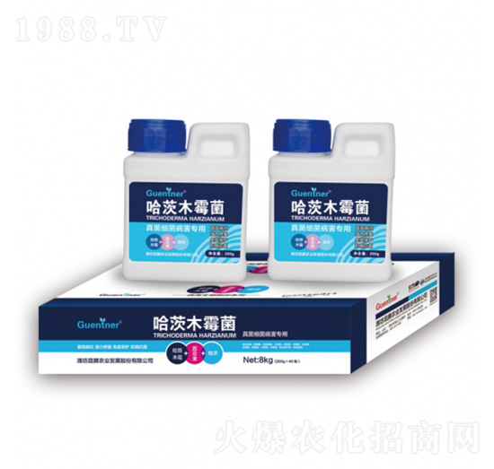 真菌細菌病害專用哈茨木霉菌-昆騰農(nóng)業(yè)