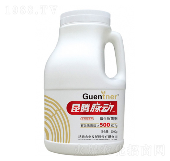 微生物菌劑-昆騰脈動-昆騰農(nóng)業(yè)