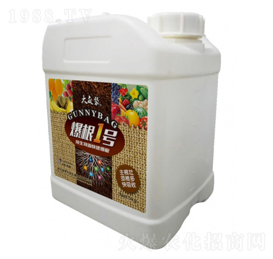 爆根1號(hào)-大麻袋-昆騰農(nóng)業(yè)