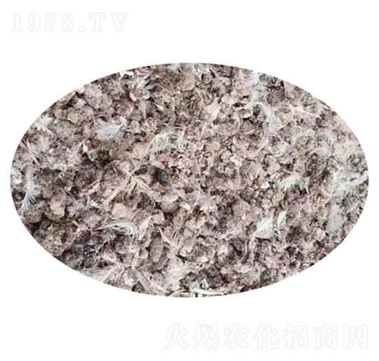 顆粒鵪鶉糞-莊諾熙農(nóng)業(yè)