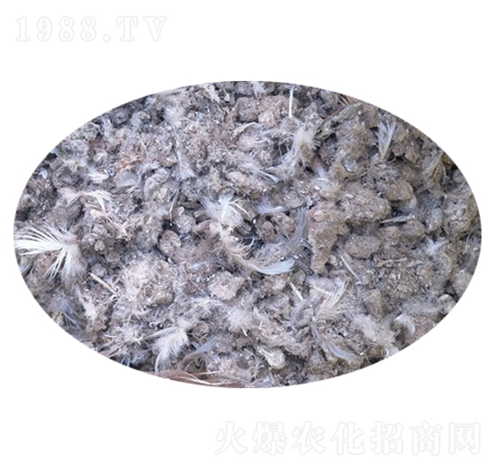 鴿子糞-莊諾熙農業(yè)