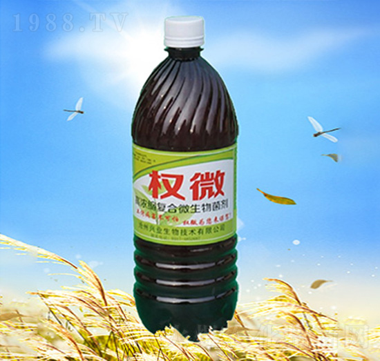 高濃縮復合微生物菌劑-權微-潤源興禾