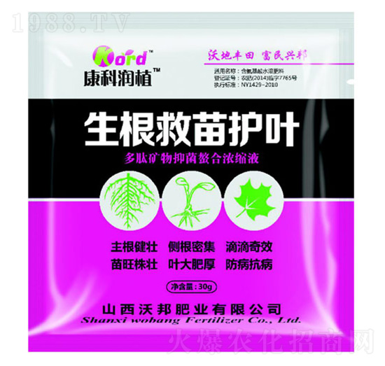 生根救苗護(hù)葉 沃邦肥業(yè)