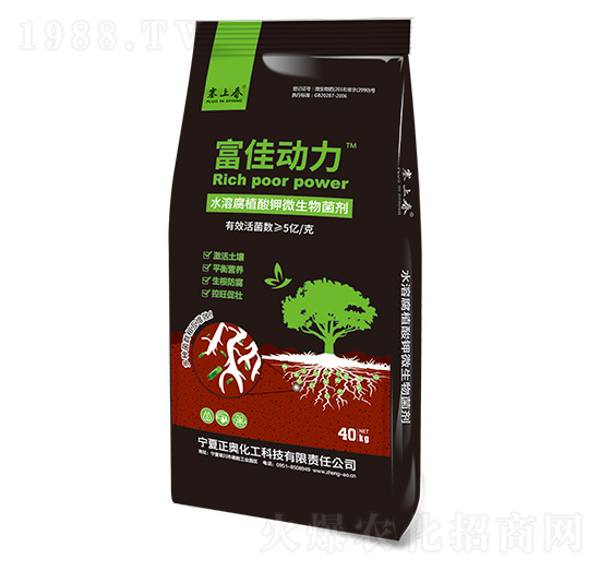 ���ф��� ���W����