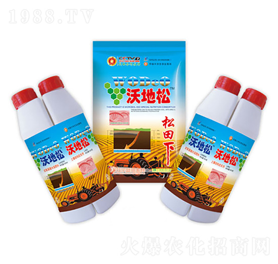 沃地松-盛田生物