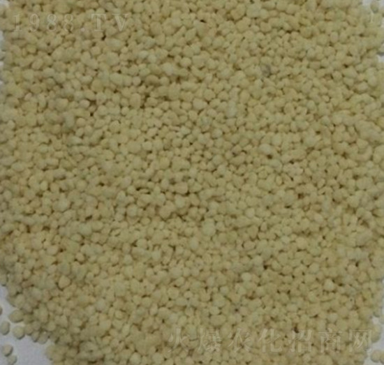 �w������-�¾��S�ʘI(y��)