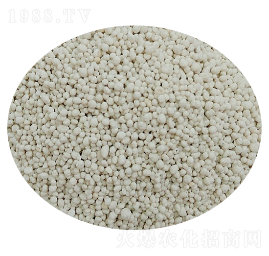 轉鼓無土糙粒-佰卓生物