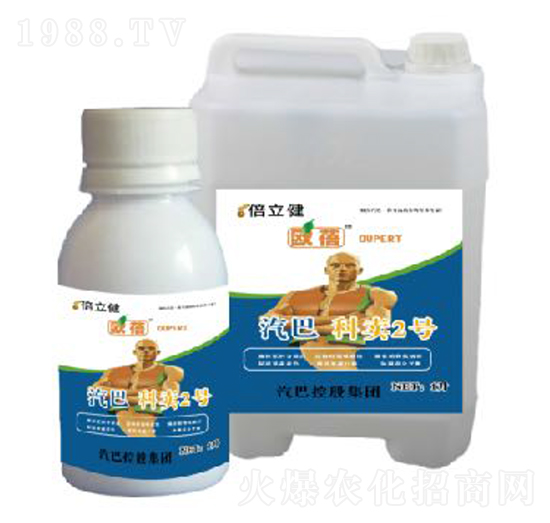 ���u2̖(h��o)-������-�����r(n��ng)�I(y��)