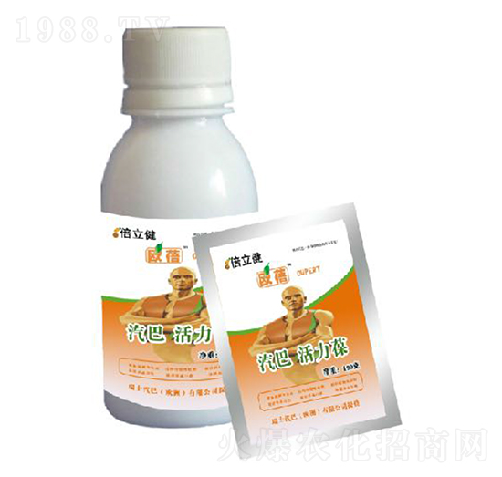 ������-������-�����r(n��ng)�I(y��)