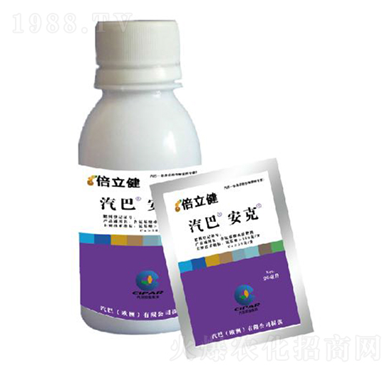 ����-������-�����r(n��ng)�I(y��)