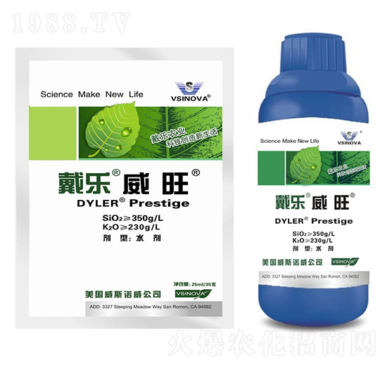 戴樂威旺-威斯諾威