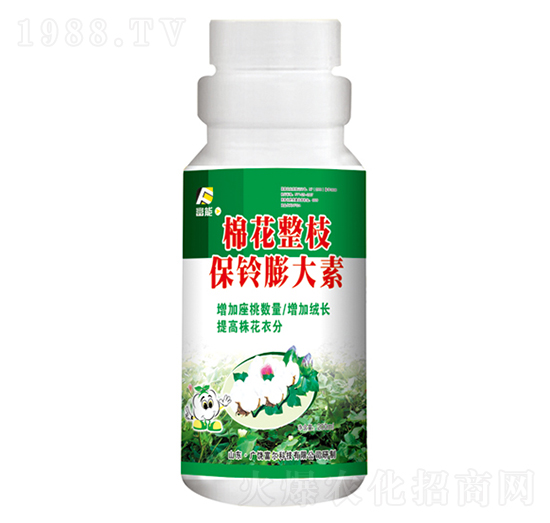 棉花整枝保鈴膨大素-富爾科技