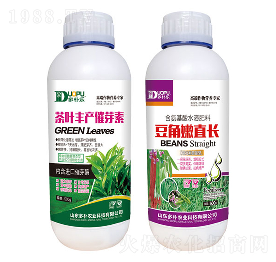 茶葉豐產(chǎn)催芽素+豆角嫩直長(zhǎng)-富爾科技