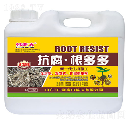 �����������-�n��̫-�����Ƽ�