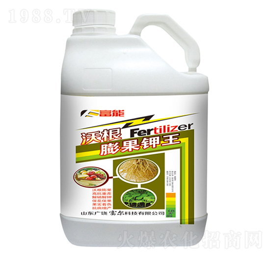 �ָ�������-�����Ƽ�