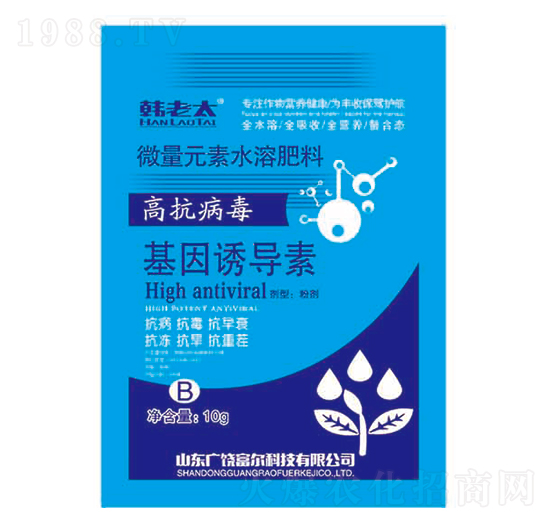 �����T��(d��o)��-�n��̫-�����Ƽ�