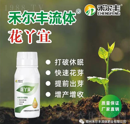 大量元素水溶肥料-花丫宜-禾爾豐
