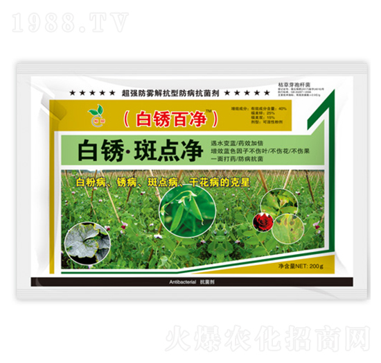 白銹·斑點凈-白銹百凈-暢瞬