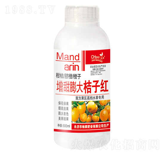 ���������Ӽt-��˲