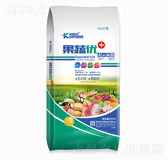 ���߃�(y��u)����-�����Z-����