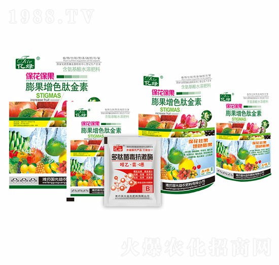 ����������L��ɫ��-�������r(n��ng)