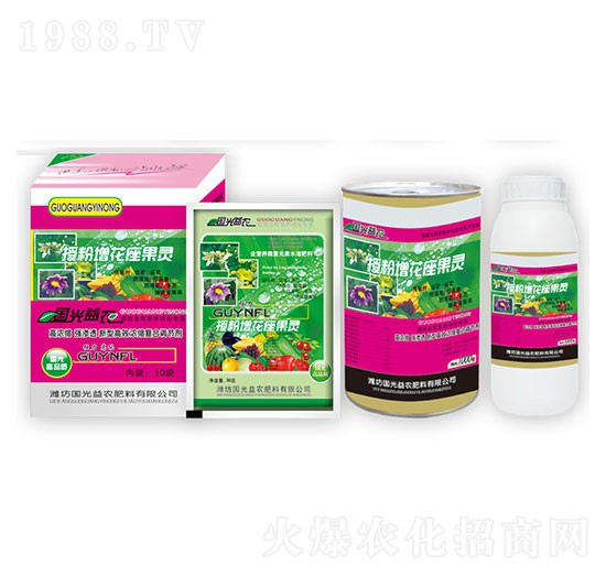 �ڷ����������`-�������r