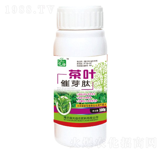 ���~��ѿ��-��(gu��)�����r(n��ng)