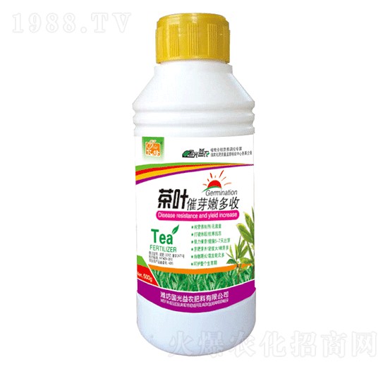 茶葉催芽嫩多收-國(guó)光益農(nóng)