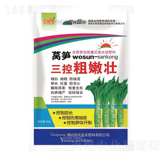 萵筍三控粗嫩壯-國光益農(nóng)