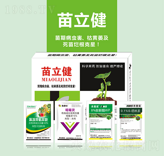 苗立健-萱化威遠(yuǎn)