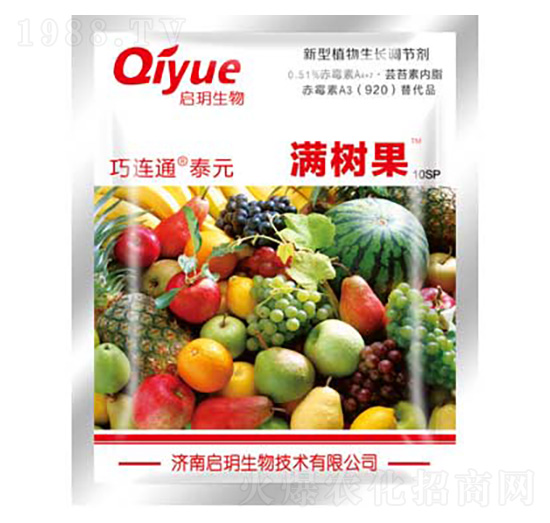 滿(mǎn)樹(shù)果（袋） 巧特