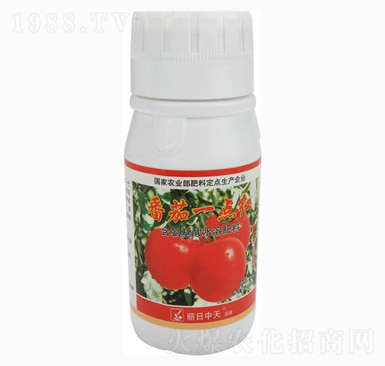 番茄專用含氨基酸水溶肥料-番茄一點紅-中天肥業(yè)