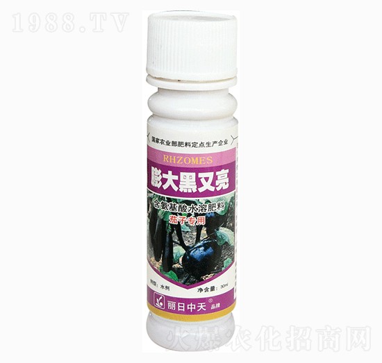 ������������-����ʘI(y��)