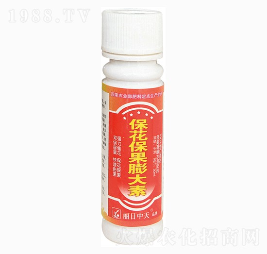 �������������-����ʘI(y��)