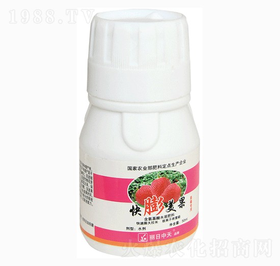 ��������-����ʘI(y��)