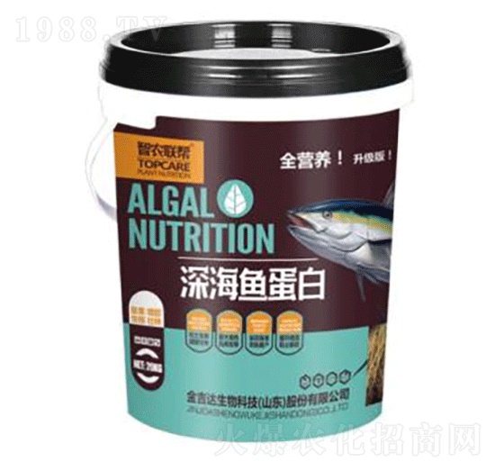 深海魚(yú)蛋白-金吉達(dá)