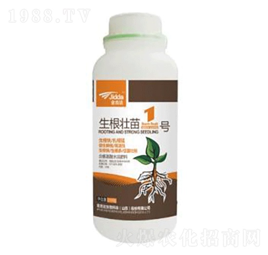 生根壯苗1號-金吉達(dá)