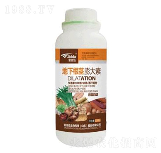 地下根莖膨大素-金吉達(dá)