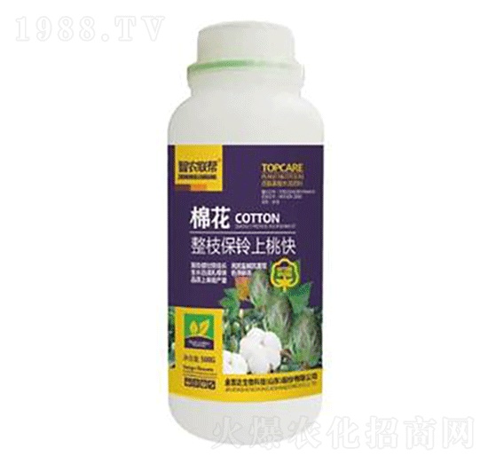 棉花整枝保鈴上桃快-金吉達