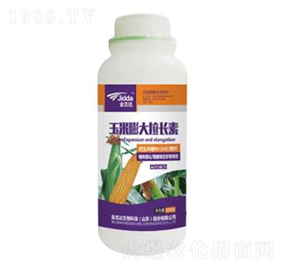 玉米膨大拉長(zhǎng)素-金吉達(dá)