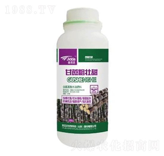 ����։���-���_(d��)