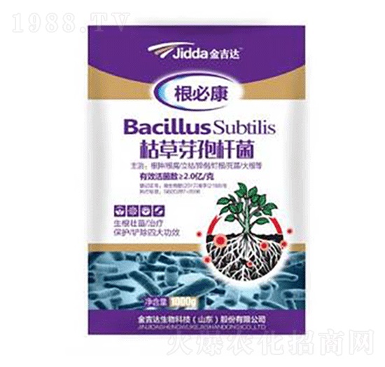 枯草芽孢桿菌-金吉達(dá)
