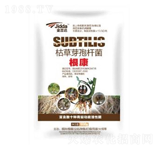 �ݲ�ѿ�ߗU��-����-���_