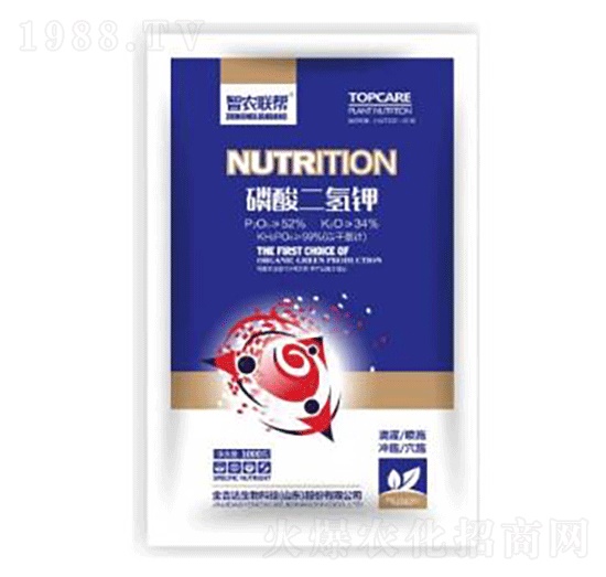 ��������-���_(d��)