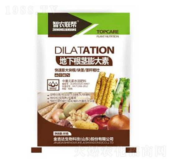 ���¸��o�����-���_