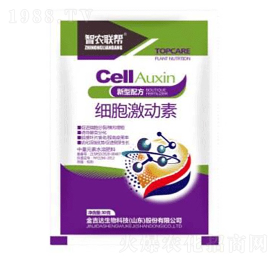 ����������-���_