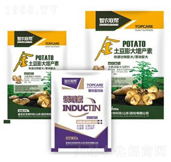 ����������a(ch��n)��-���_(d��)