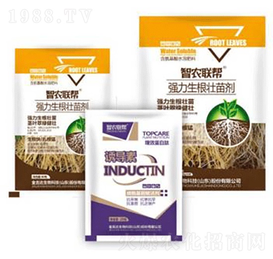 生根壯苗劑-金吉達(dá)