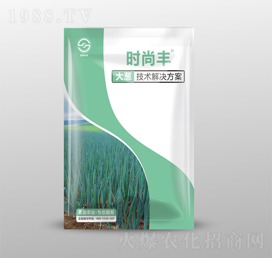 大蔥技術(shù)解決方案-時(shí)尚豐-圣勤農(nóng)業(yè)