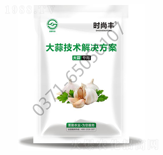 大蒜技術(shù)解決方案-時尚豐-圣勤農(nóng)業(yè)
